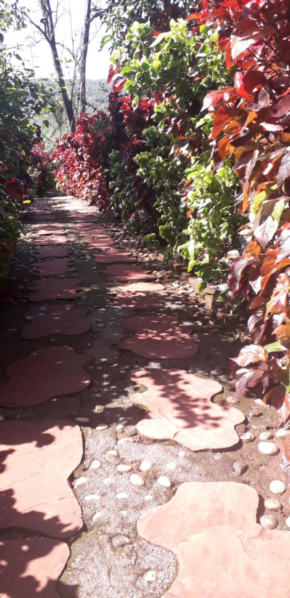 Вилла Strawberry Country Махабалешвар Номер фото